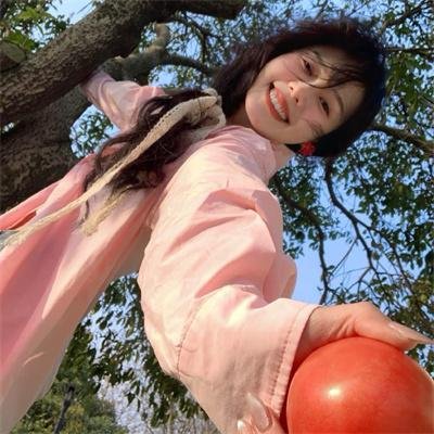 海豚的故事2 海报